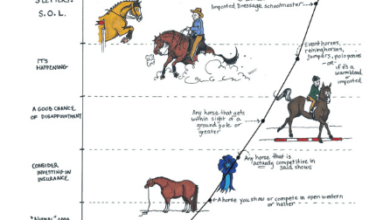 Risk Assessment in Horse Racing Financial Investments