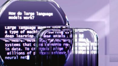 buddychufox s digital transformation impact