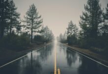 business trip planning guide