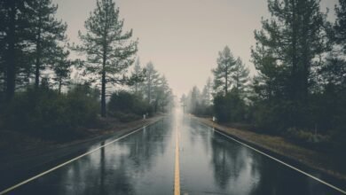 business trip planning guide