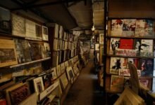 comprehensive guide to manga