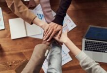 sustainable business bookkeeping services