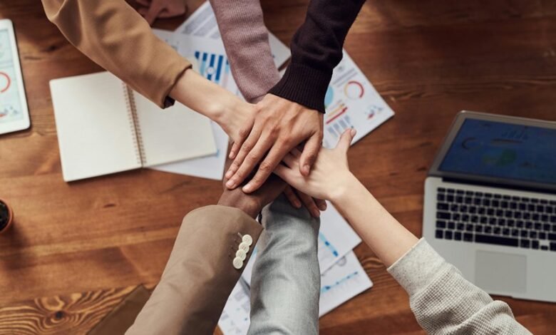 sustainable business bookkeeping services