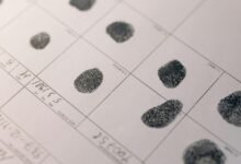 comprehensive public record details