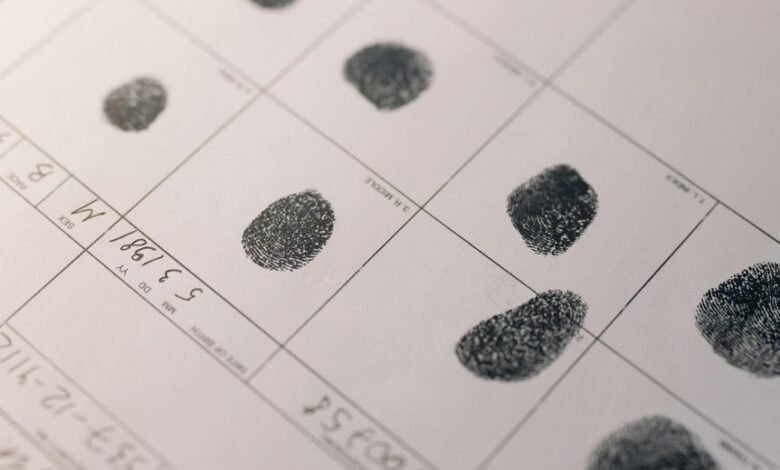 comprehensive public record details