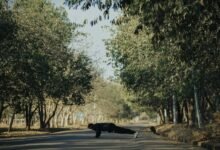 discover fresh paths daily improvement