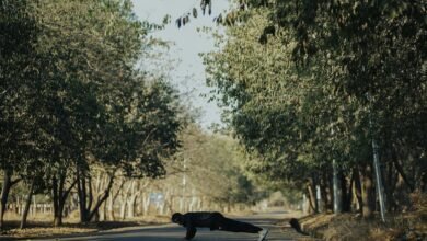 discover fresh paths daily improvement