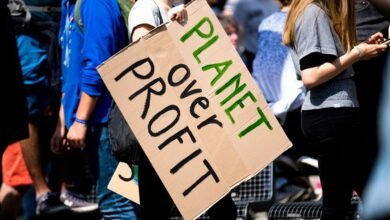 gravity surge 910714533 profit orbit