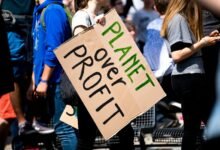 profit stream for business expansion